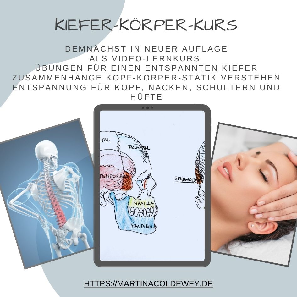 Header-Kiefer-Körper-Kurs, Collage