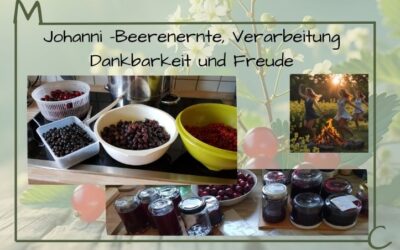 Johanni – ein Fest der Dankbarkeit, Erdung, Ernte und der inneren Fülle