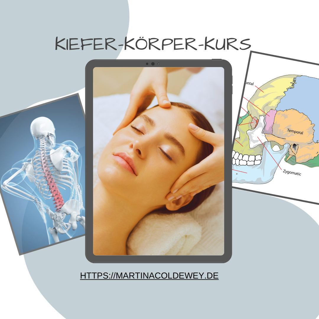 Kiefer-Körper-Kurs, Titelbild, Kopf der von 2 Händen gehalten wird